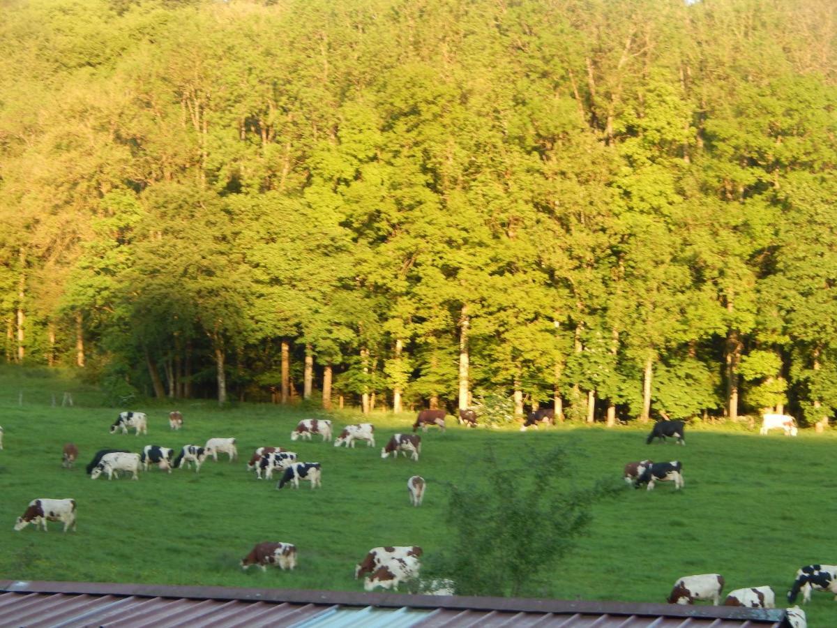 Bed and Breakfast A La Source Du Saolon Culmont Exteriér fotografie